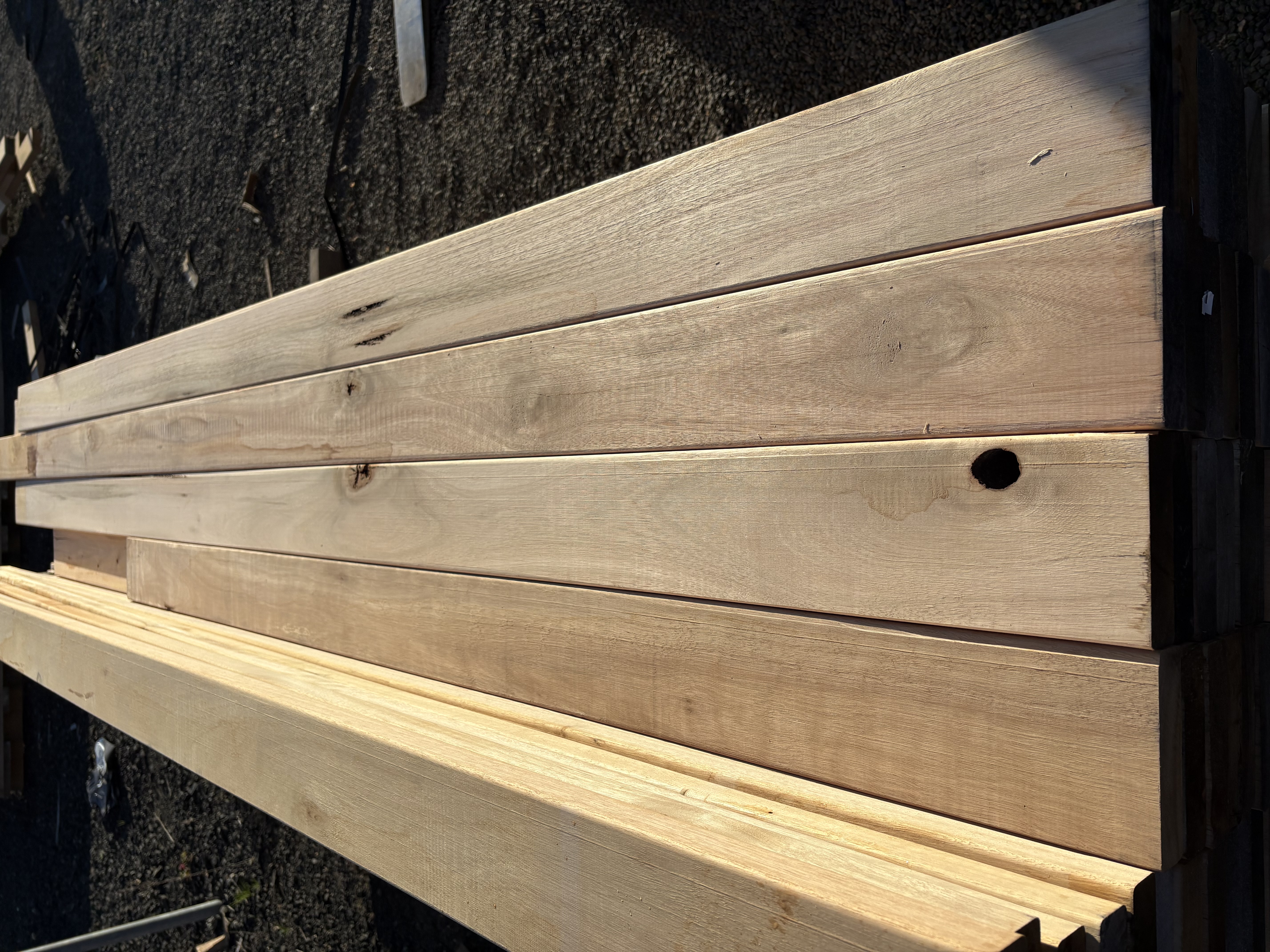 110x 30 Eucalyptus dunnii