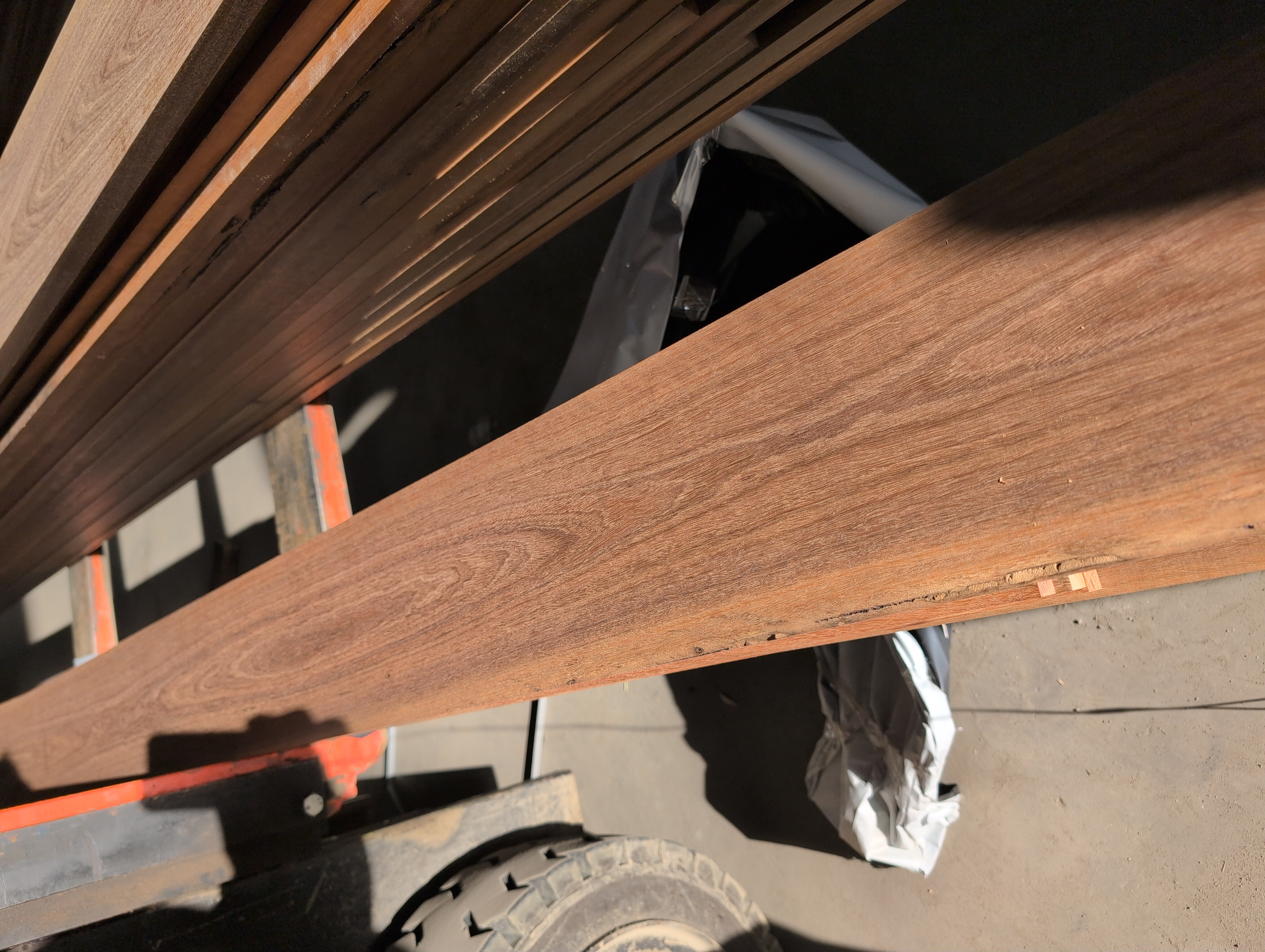 Queensland Spotted Gum