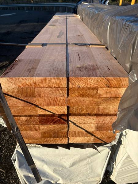 Tasmanian oak 240 × 42mm structural — G70036
