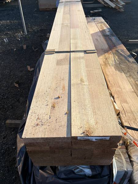 Tasmanian oak framing 240 × 42mm structural — G70037